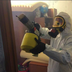 Уничтожение клопов в квартире. Ильинский